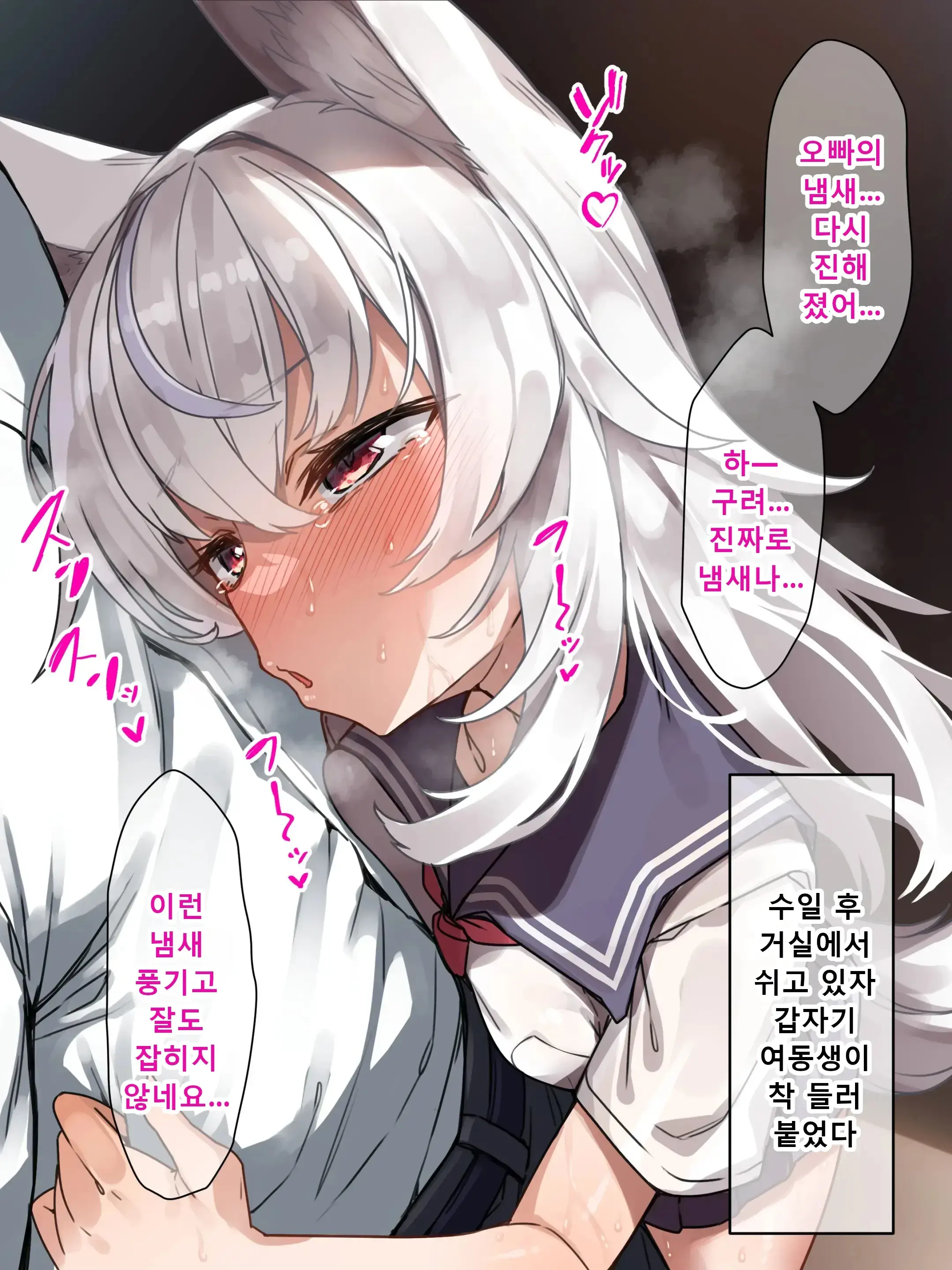 Kemomimi Imouto No Hatsujouki O Osewa Suru No Wa Ani To Shite Touzen Da Yo Ne. | 케모미미 여동생의 발정기를 책임지는 건 오빠로서 당연하잖아